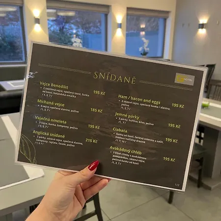 Green Hotel Ostrava Отель