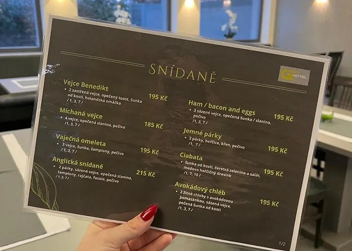 Green Hotel Ostrava Отель